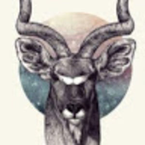 Meet your Posher, Adalyn